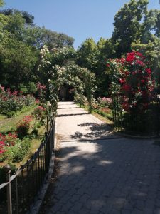 Jardines y arco de rosas de Campo Grande